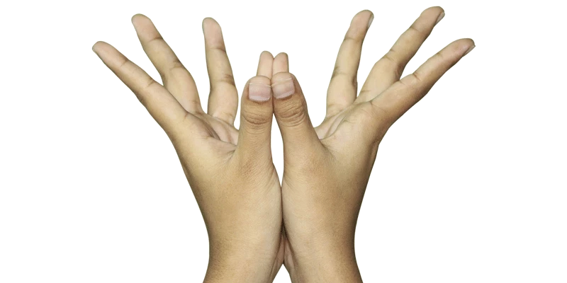 linga_mudra